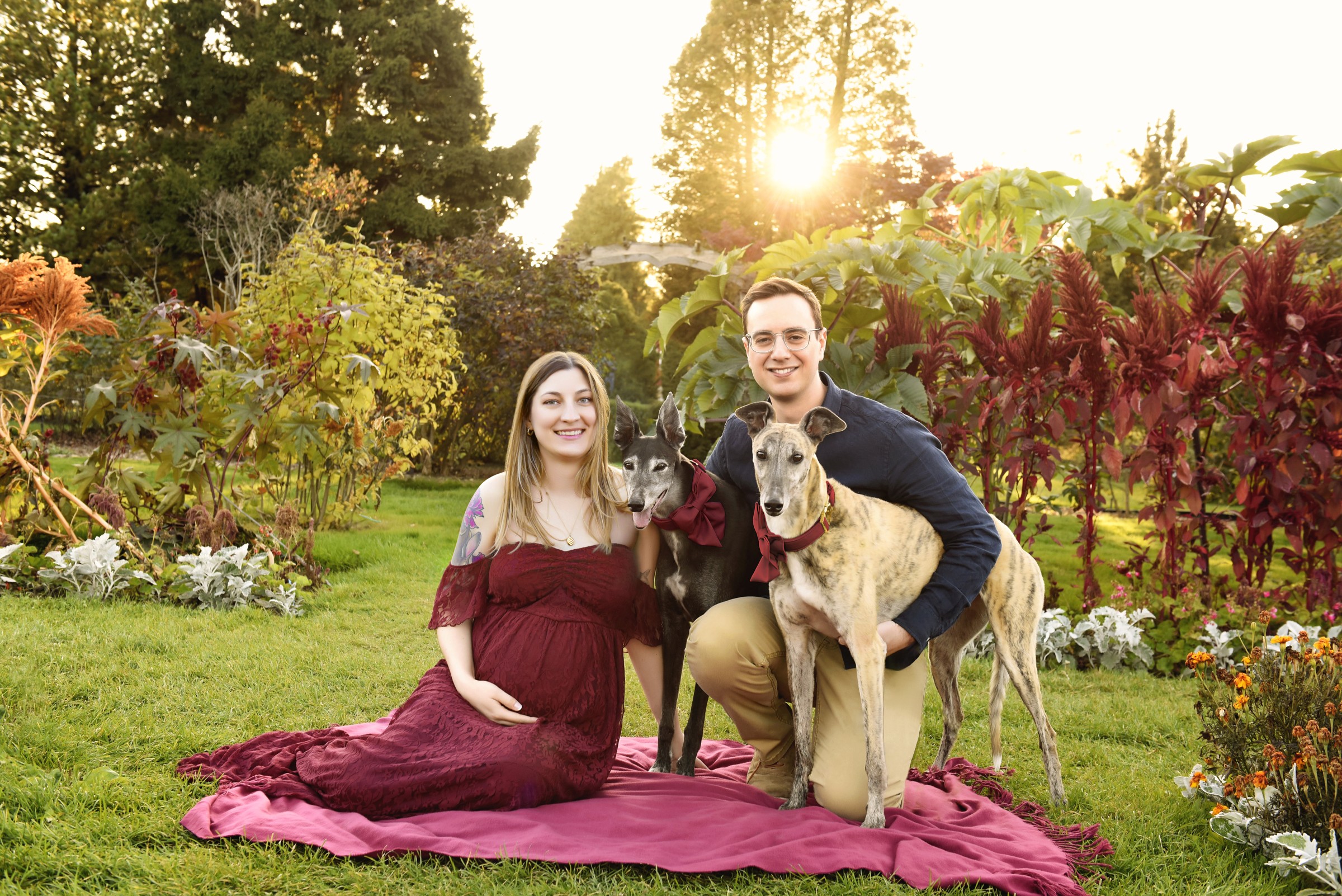 Outdoor maternity portrait with a couple and their two dogs